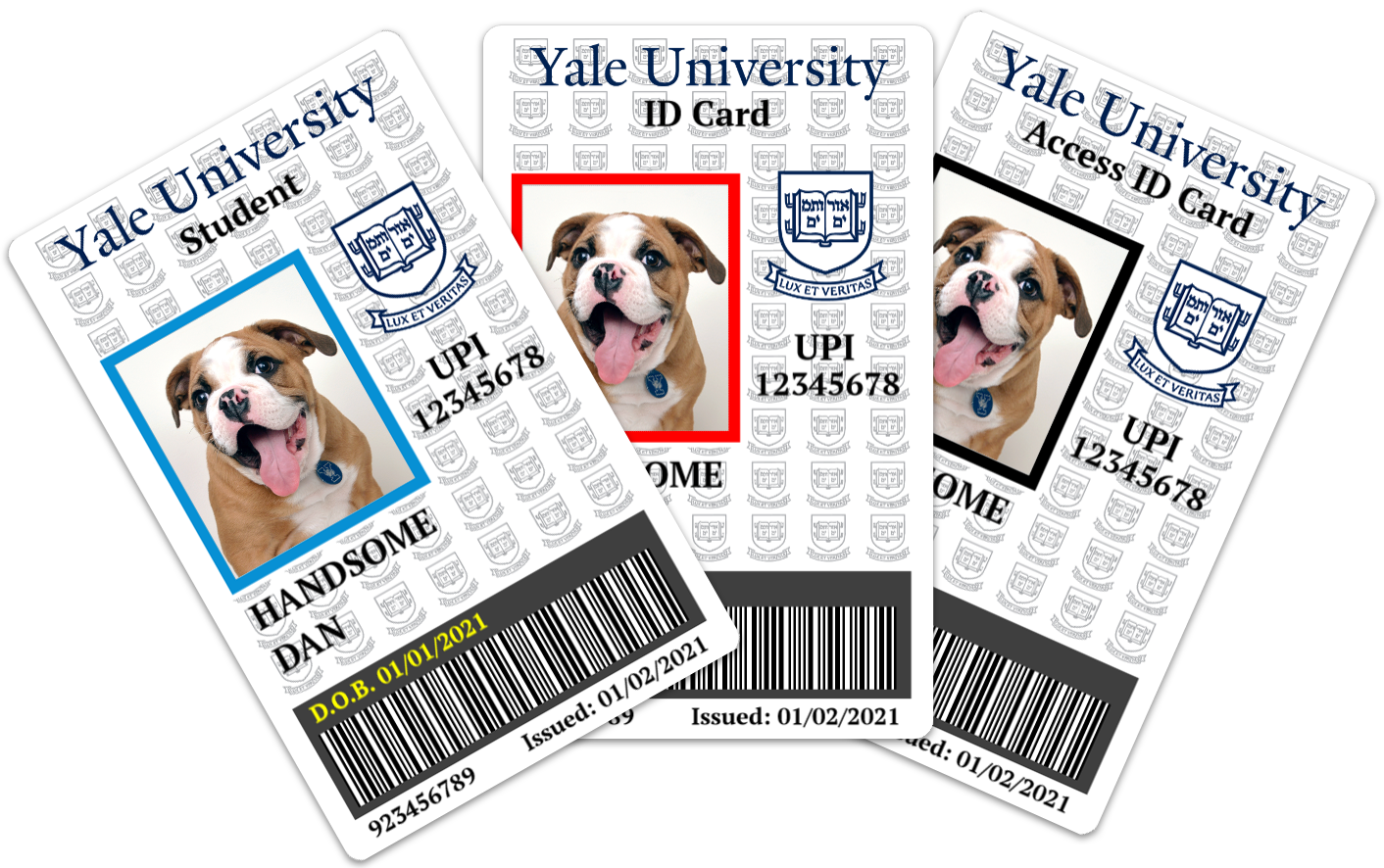 Yale ID Cards