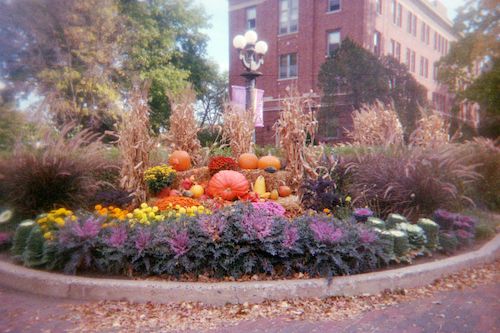 Campus landscape photo