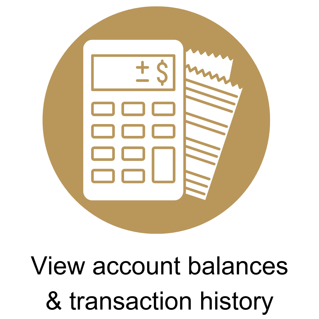 Account Activity & Balance Icon