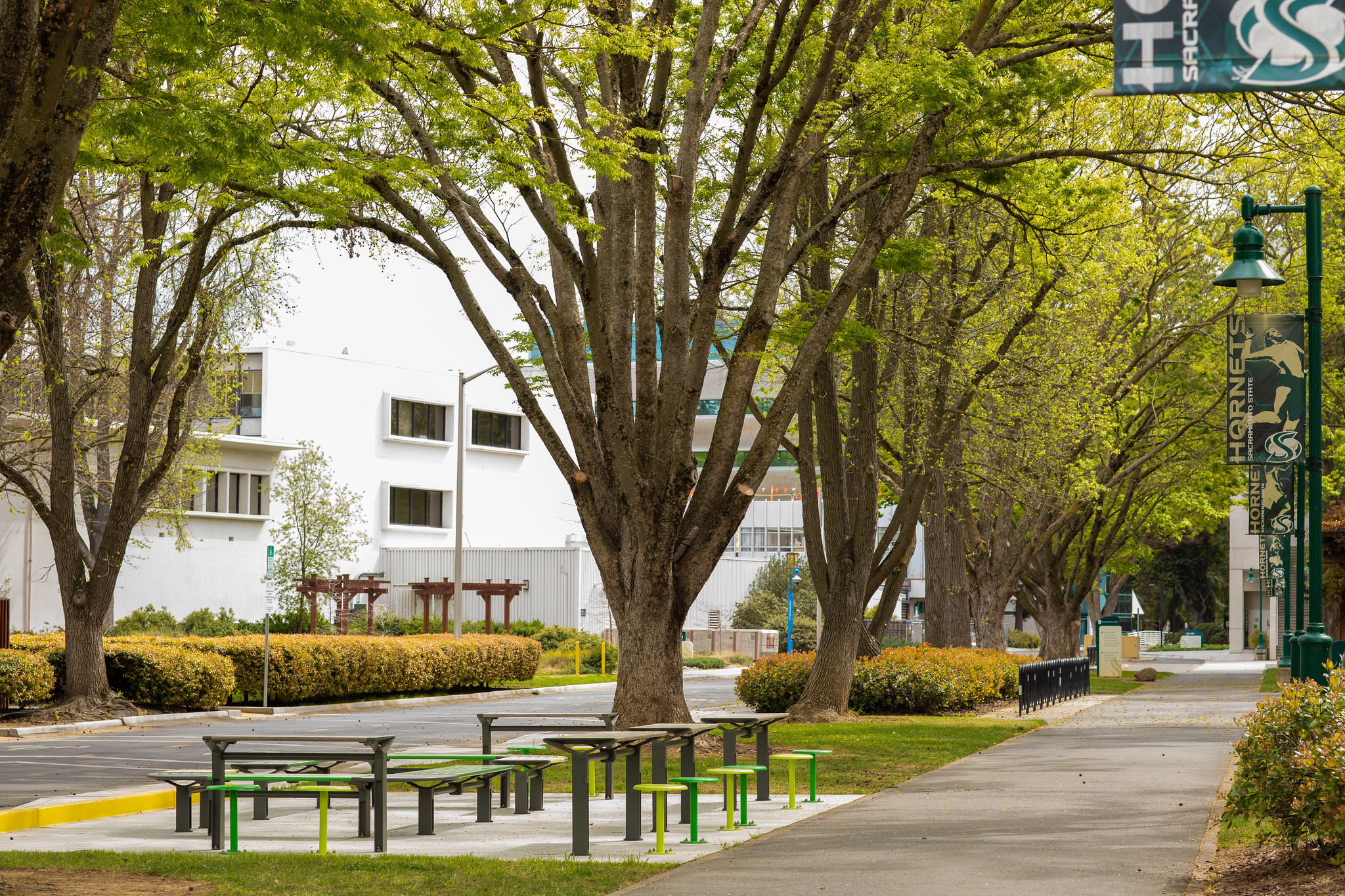 CSUS Sign